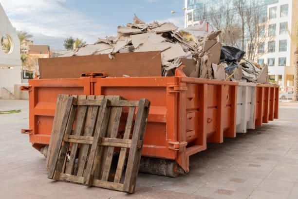 Best Yard Waste Removal  in Belleview, FL
